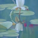 White Lily Reflected